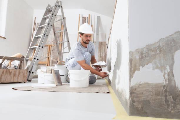 Mold Removal for HVAC Installations in Pistakee Highlands, IL