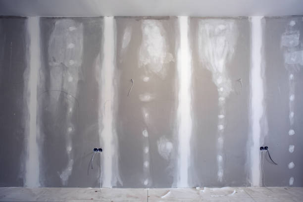 Best Water Damage & Mold Remediation  in Pistakee Highlands, IL